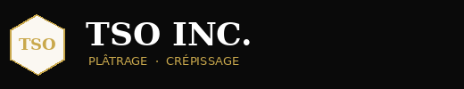 tso-logo